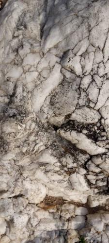 76aabc9b-2198-4d7a-8646-e9dfd3e6f3fc