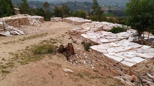 ca05c44b-0e11-4686-8b6c-146acd38a9c7