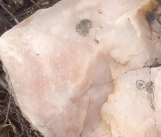 cbe11ec2-8fdd-4e5e-b512-8e50fd9a73fe