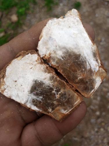 db8e9e84-57aa-4693-ba94-fc6da01c9647